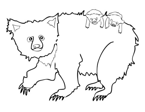 Sloth Bear Mother And Two Cubs Coloring Page